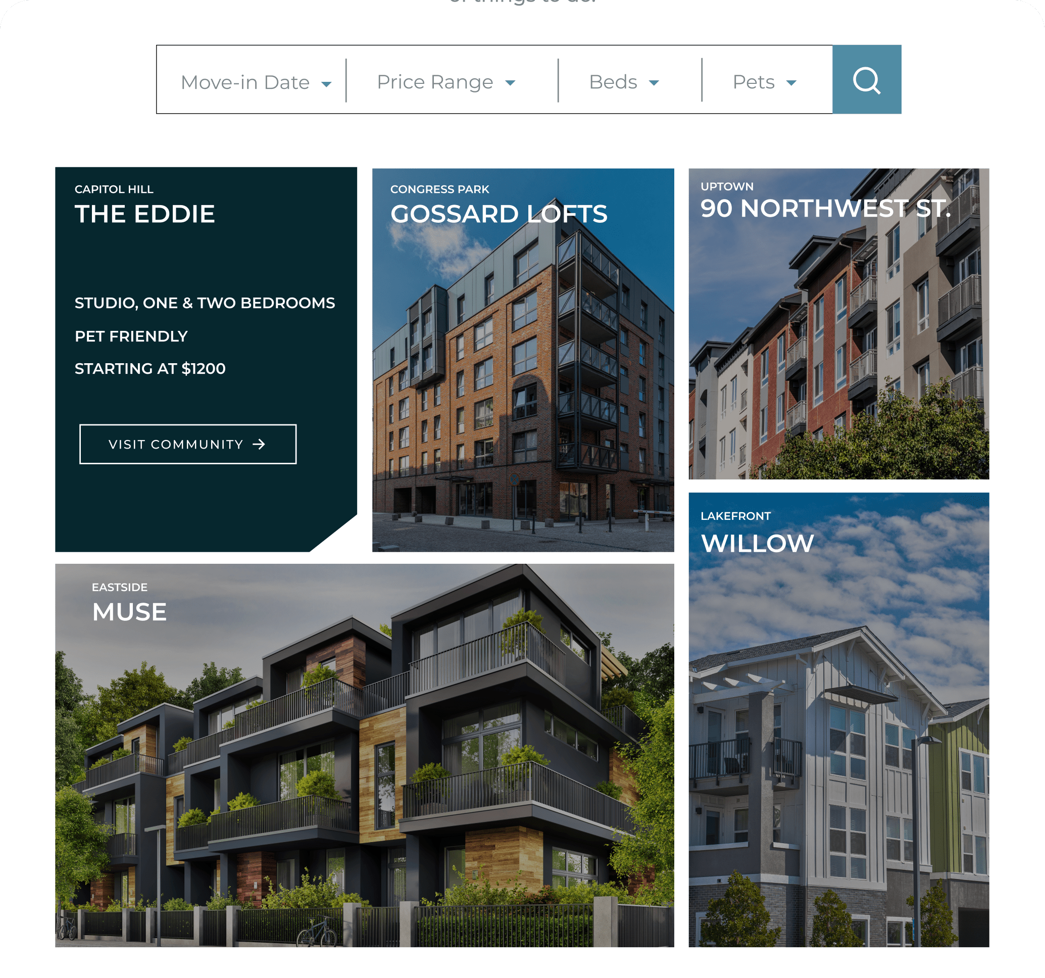 Portfolio Theme Screenshot View